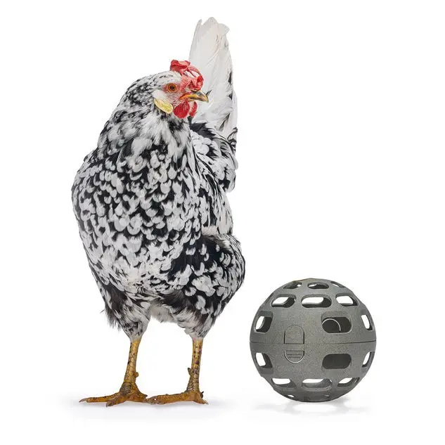 Chicken Snack Ball – 100% Recycled, Foraging & Play Feeder 1