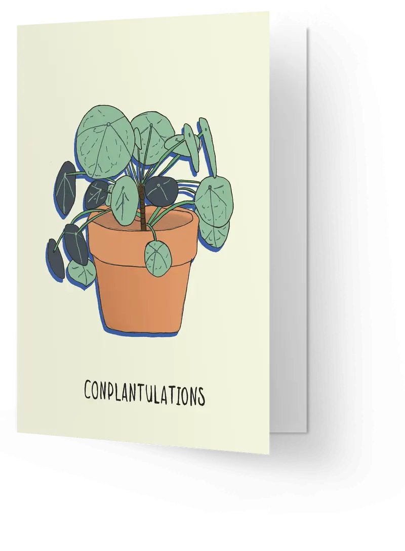 Conplantulations 1