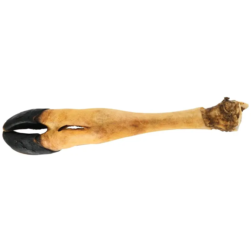 Dogginstix Beef Foot Dog Chew – Four Treats In One, Ideal For Small To Medium Dogs 1