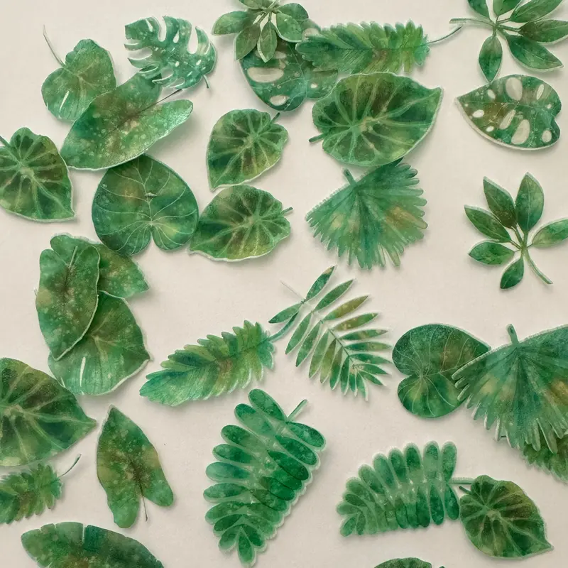 Edible Pre-Cut Wafer Greenery Jungle Ferns Leaves 1
