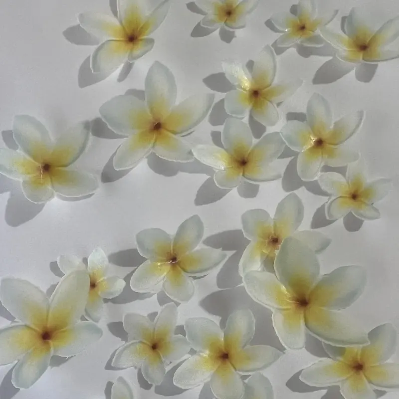 Edible Pre-Cut Yellow Wafer Frangipani Flowers 1