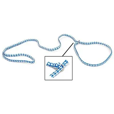 Jeffers Animal Control Slip Dog Lead, Braided Poly, 6'L 1