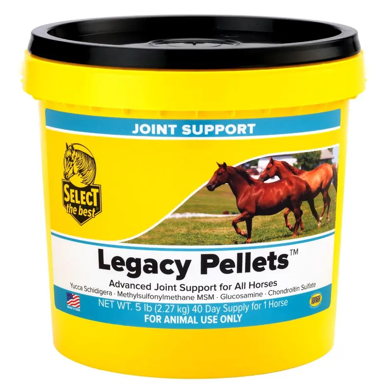 Legacy Advanced Horse Joint Supplement With Glucosamine, Msm, Chondroitin, Yucca, And Vitamins E & C – Pelleted Support For Mobility And Flexibility 1