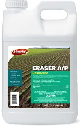 Martin's Eraser A/P 1