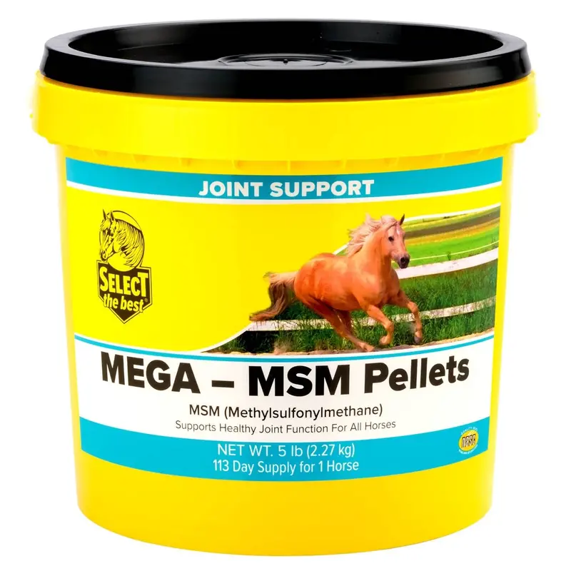 Mega-Msm Pellets Joint Supplement For Horses – 10,000 Mg Msm With Stabilized Rice Bran For Mobility & Flexibility 1