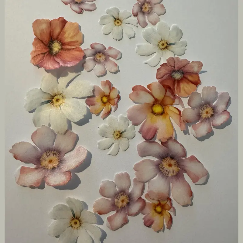 Multicoloured Edible Pre-Cut Wafer Flowers 1