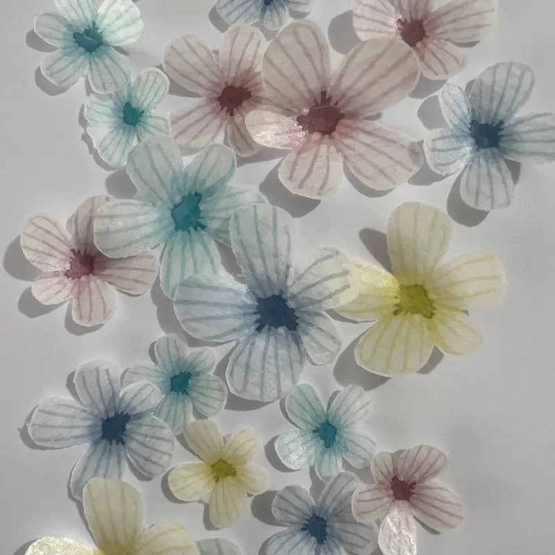 Multicoloured Pre-Cut Edible Wafer Flowers 1
