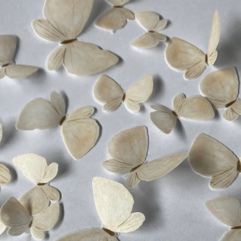 Nude Coloured Pre-Cut Edible Wafer Butterflies 1