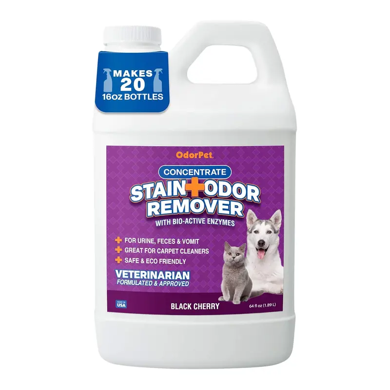 Odorpet Stain + Odor Remover Concentrate With Bio-Active Enzymes 3