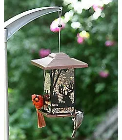 Perky-Pet® Wilderness Lantern Wild Bird Feeder 1