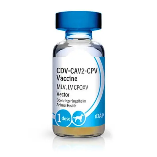 Recombitek C-3 Dog Vaccine (25 X 1Ml) 1