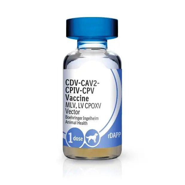 Recombitek C-4 Dog Vaccine (25 X 1Ml) 1