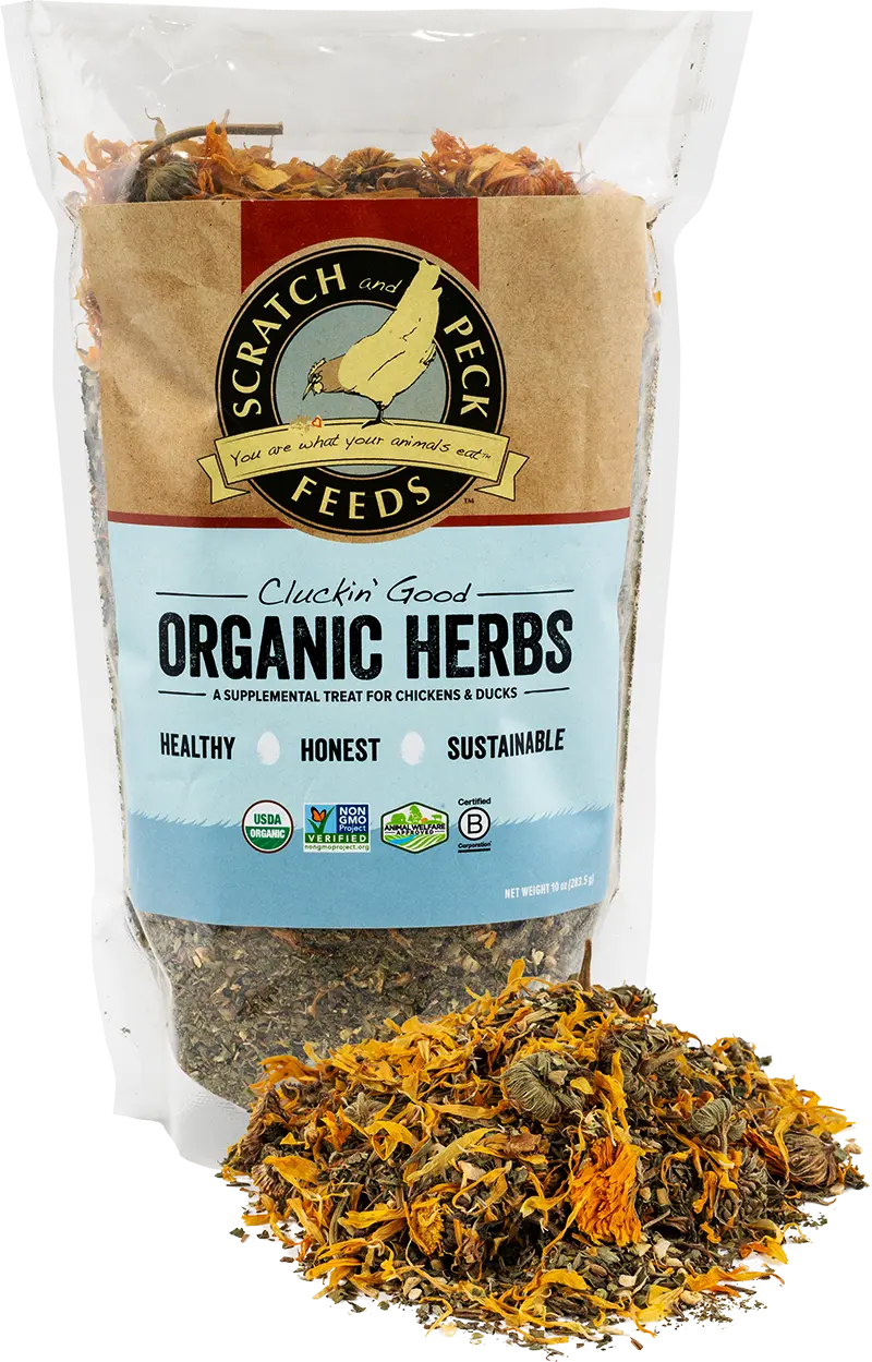Scratch And Peck Feeds Cluckin’ Good Organic Herbs 1