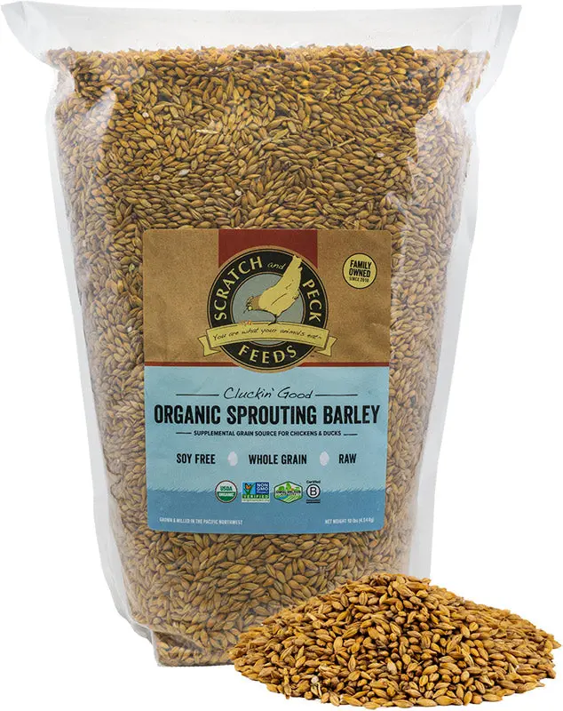 Scratch And Peck Feeds Cluckin’ Good Organic Whole Barley 1