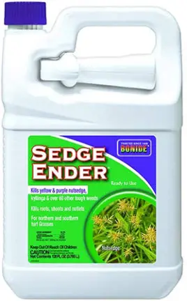 Sedge Ender Gal Rtu 1