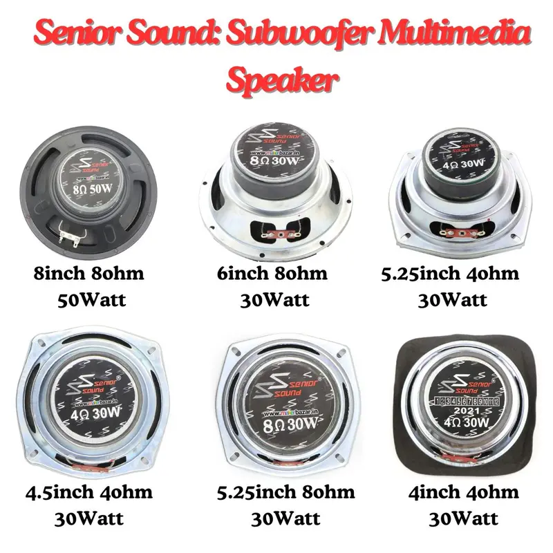Senior Sound: Subwoofer Multimedia Speaker 1