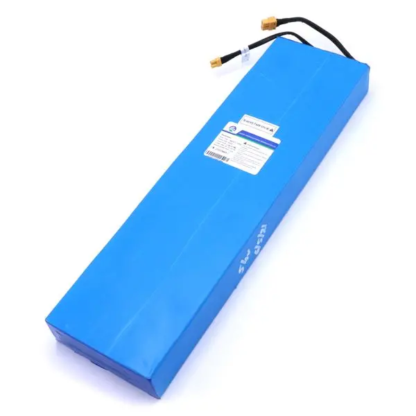 Solar E1 48V Replacement Battery 1