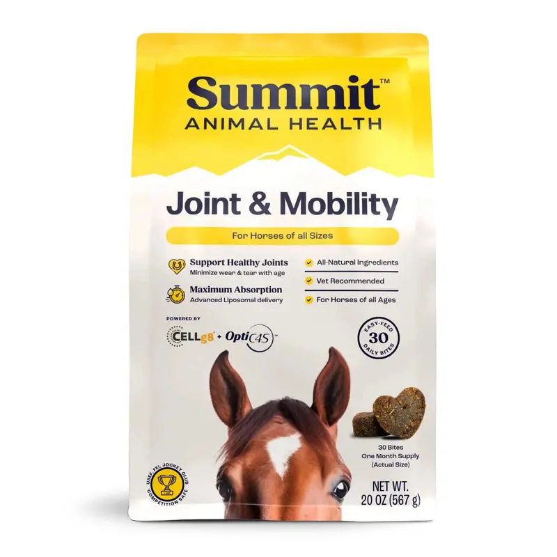 Summit Animal Health - Joint & Mobility Bites For Horses, 30 Ct 1