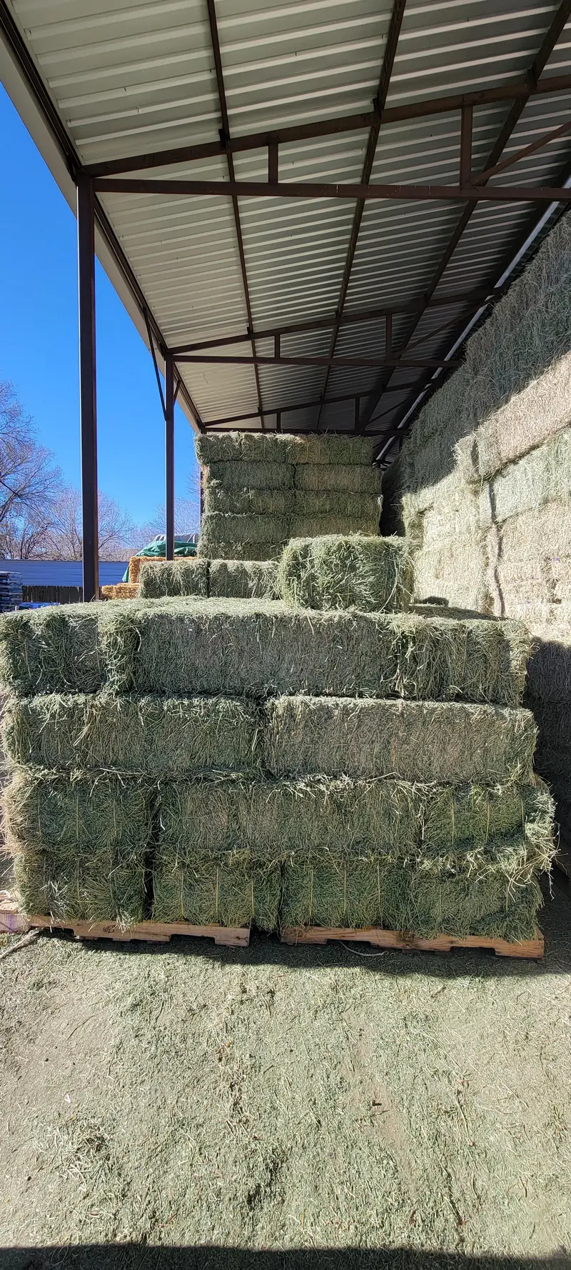 Tvm Alfalfa 3-Wire 1