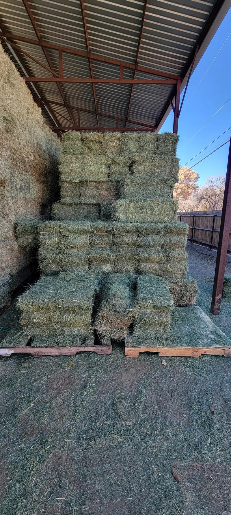 Tvm Timothy Orchard Blend 2-Wire 1