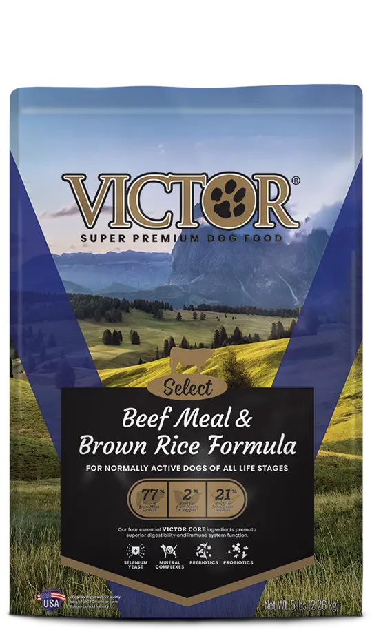 Victor Beef Meal & Brown Rice Formula 1