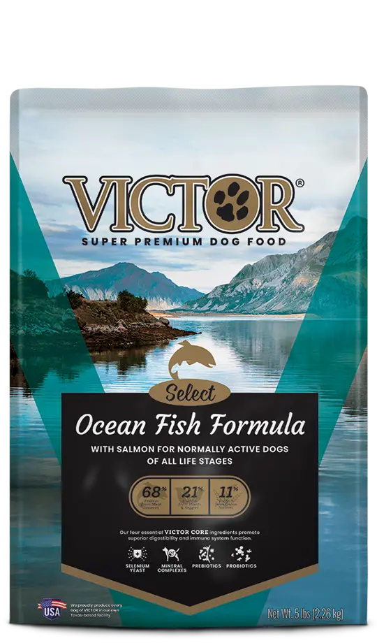 Victor Ocean Fish Formula With Salmon 1